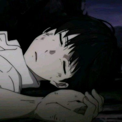 “10万头黑猪让沙漠变绿洲”不实